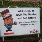 Cameron Highlands
