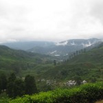 Cameron Highlands