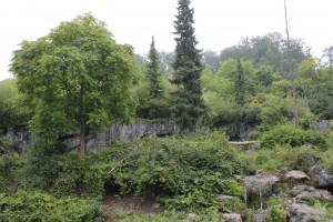 Großes und schön aufgemachtes Bärengehege