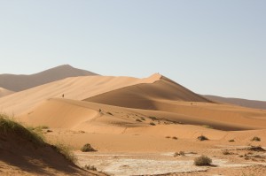 Namib Wüste