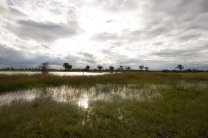 Okavango Delta