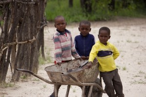 3 kleine Einwohner des Okavango Delta