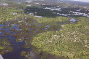 Okavango Delta von oben